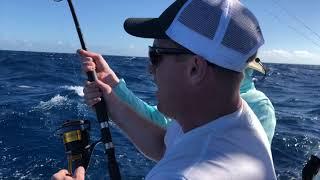 Sailfishing in Key Largo - January 2019