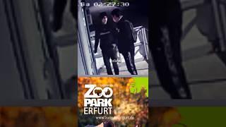 Nachts im Zoo #fahndung #polizei #einbruch