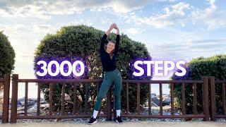 3000 Steps Walking Workout Sweaty Walking Workout