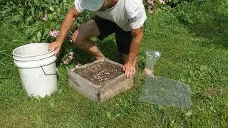 Stratifying stone fruits