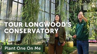 Longwood Gardens CONSERVATORY TOUR — Ep. 308