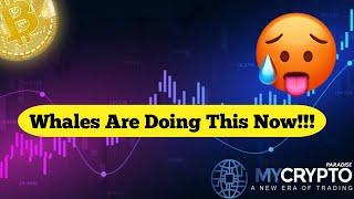 Bitcoin Live Update Should You Start Panic Selling? Is $63k the LTF Top? - MyCryptoParadise Signals