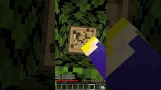 Can you beat Minecraft falling in an endless loop?