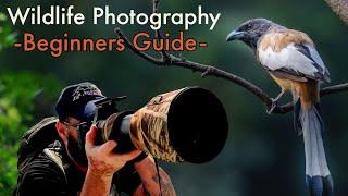 Wildlife Photography from START to FINISH Gear Settings Technique Ethics Step by Step GUIDE