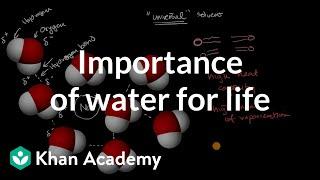 Importance of water for life  Chemistry of life  AP Biology  Khan Academy