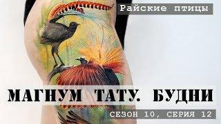 Райские Птицы.«Магнум тату Будни» Сезон 10 серия 12