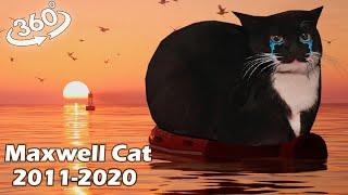 VR 360° Goodbye forever Maxwell Cat 2011-2020  R.I.P.