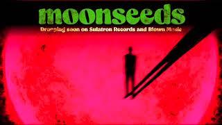 Moonseeds - st LP and CD promoclip