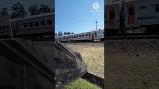 Kereta Api Berapi api Kemranjen #shortvideo #keretaapi