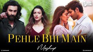 Pehle Bhi Main Mashup - GRS  Animal Songs  Best of Vishal Mishra  Naseeb Se  Bollywood Lofi