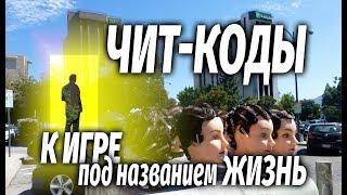 Чит-коды к игре под названием Жизнь. Прохождение уровней жизни.