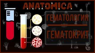 Гематокрит  Форменные элементы крови эритроциты лейкоциты тромбоциты и плазма  Гематология