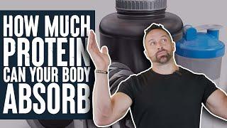 How Much Protein Can Your Body Absorb?  What the Fitness  Biolayne