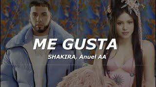 Shakira Anuel AA - Me Gusta LetraLyrics