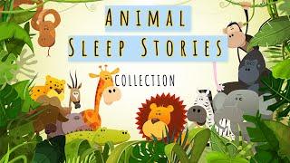 Childrens Sleep Meditation ANIMAL SLEEP STORIES COLLECTION Kids Guided Meditation