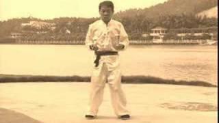 Hard School Wing Chun