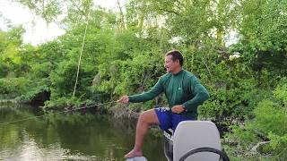 Una bonita tarde de pesca y cocina con cuerda bagres y mojarras rojas