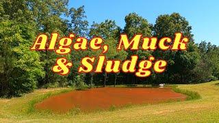 HOW TO Remove Algae Muck and Sludge from a Pond  Clearing Pond Water