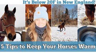 5 TIPS TO KEEPING YOUR HORSES WARM IN WINTER  EQUESTRIAN VLOG