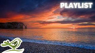 Relaxing Piano Music Playlist with Ocean Waves in the Sunset  Relax Sleep Focus