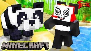 Things You Didnt Know About Pandas Lets Play Minecraft Feeding A Panda Cake with Combo Panda