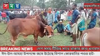 ঈদ-উল-আযহা উপলক্ষে জমে উঠেছে বিশাল কোরবানির পশুর হাট-