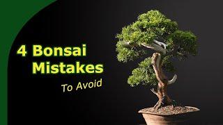 Grow Better Bonsai Faster  4 Bonsai mistakes to avoid