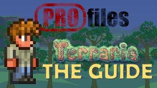 THE GUIDE TERRARIA  PROfiles