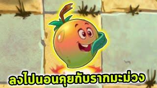 มะม่วง ส่งซอมบี้ลงไปนอนคุยกับรากมะม่วง Plants vs Zombies 2