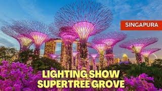 PERTUNJUKAN CAHAYA LAMPU POHON RAKSASA GARDEN BY THE BAY SINGAPURA  SUPERTREE GROVE