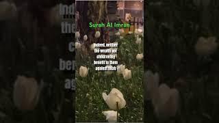 Surah AL Imran recitation by Sheikh Muhammad Al Faqih.