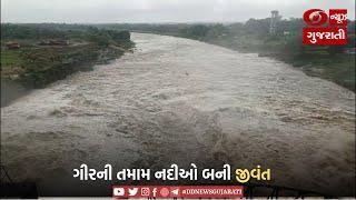 GIR SOMNATH  ગીરની તમામ નદીઓ બની જીવંત