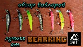 Топ 3 воблеров от Bearking.Обзор приманок.Лучшие воблеры с Алиэкспресс