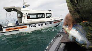 ГИМС ВЫГНАЛ С МОРЯ во время ЖОРА ОКУНЯ  GIMS KICKED OUT OF THE SEA during PERCH FEEDING