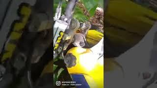 ‍️#enduro #fail #crash #moto #drz400 #azores #bikelife #ride #funny #funnyvideo #shorts