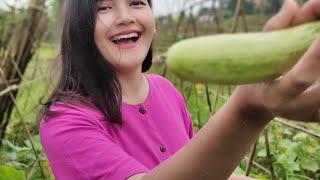 BIKIN LUPA PULANG.. NENG ENJI JANDA DESA CANTIK DAN SEDERHANA AKTIVITAS DI KEBUN