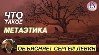 Что такое метаэтика. Моральные факты  Сергей Левин на LSPhilosophy