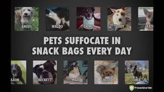 Pet Suffocation - What You Need to Know