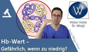 Zu wenig Hämoglobin im Blut?  Was tun beim niedrigen Hb Wert? Ursachen  Symptome  Therapie