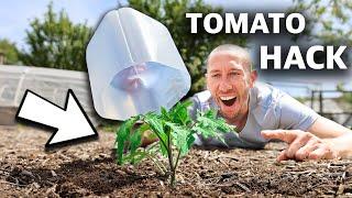 10 FREE Garden HACKS Using Household Items You Cant Afford to Miss This