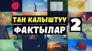 Тан калыштуу фактылар  Кызыктуу маалыматтар 80+ факт