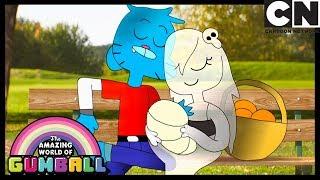 Gumball  Playing Cupid  The Shippening  Cartoon Network