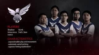 TI6 Team Wings