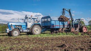 LPG Einsatz - Mist streuen - FORTSCHRITT ZT 303 - Zwiebelzieher T157 ▶ Agriculture Germanyy