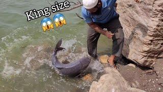 King size Rohufishes 10.470kg and 8.800kg fishes100%Successful Bite in SINGLE hook fishing