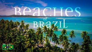 【4K】The Most Beautiful Beaches of BRAZIL 2020  Cinematic Wolf Aerial™ Drone Film