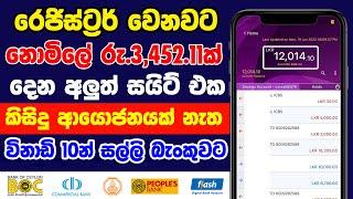 Earn Money Online Sinhala 2023  Free Online Job Sinhala  Part Time Jobs