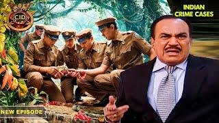 Team CID को Jungle में मिले कुछ अजीब सबूत  Best of CID  TV Serial Latest Episode