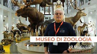 Spotlight  Museo di Zoologia Fabio Viglianisi responsabile attività didattiche e divulgative