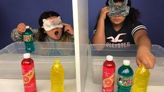 Blindfolded Twin Telepathy Slime Challenge